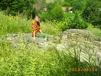 august25 036.webp