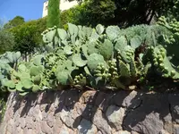 SAM_1515.webp