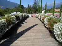 SAM_1511.webp