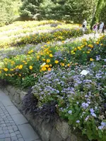 SAM_1544.webp