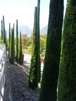 SAM_1512.webp