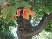 015.webp