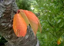 Copy of April 2010 362 v.webp Copy of April 2010 362 v.webp