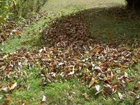 Copy of April 2010 373v.webp Copy of April 2010 373v.webp