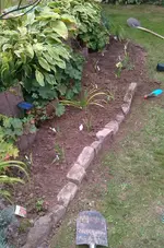 IMAG1235.webp