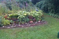 IMAG1237.webp