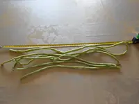 DSCN0927.webp