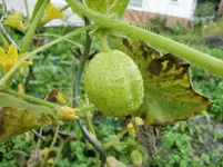 CIMG0814.webp