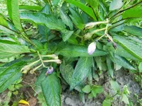 CIMG0851.webp