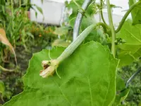 CIMG0812.webp