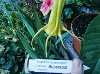 CIMG1002.webp