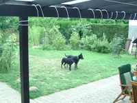 BILD3916.webp