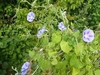 P1090204.webp