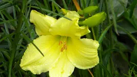 DSCN5482.webp