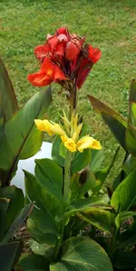 comp_DSC04353.webp