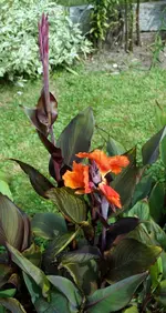 comp_DSC04357.webp