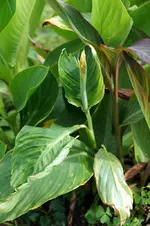 comp_DSC04356.webp