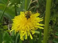 06 01 villadoluca vorher.webp