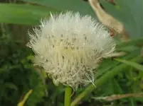06 02 villadoluca nachher.webp