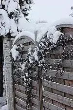 09 Evaka vorher.webp