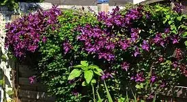 09 02 Evaka nachher.webp