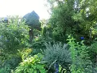 15 02 scheinfeld Schrebergarten nachher.webp