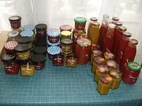21 02 katekit Tomatenvariationen nachher.webp