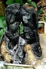 24 02 Heide Schwedenfeuer nachher.webp