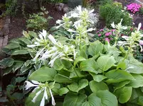 100_5592.webp