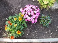 100_5595.webp