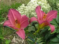 021_1024x768.webp