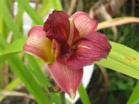 024_1024x768.webp