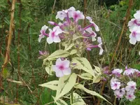 022_1024x768.webp