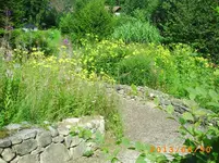 august25 043.webp