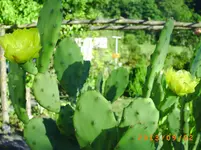 sept 01 003.webp