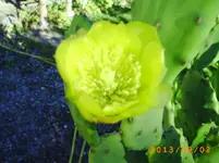 sept 01 005.webp