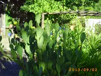 sept 01 008.webp
