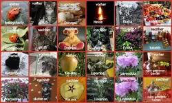 _August 13 vorher- nachher (1).webp