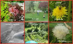 _August 13 vorher-nachher 3 (1).webp