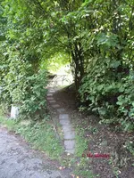 G_Wiese_Aufgang_08-.2013_mr.ditschy.webp