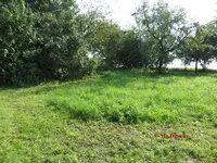 G_Wiese_Mitte_08-.2013_mr.ditschy.webp