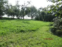 G_Wiese_Rechts_08-.2013_mr.ditschy.webp