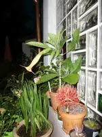 CIMG0006.webp