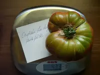 k-Tomaten 022.webp