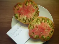 k-Tomaten 026.webp