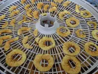apfel.webp