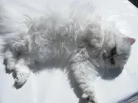 DSCF4331.webp
