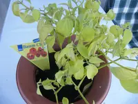DSCF4354.webp