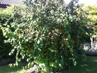 photo4.webp