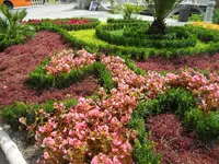 SAM_1459.webp